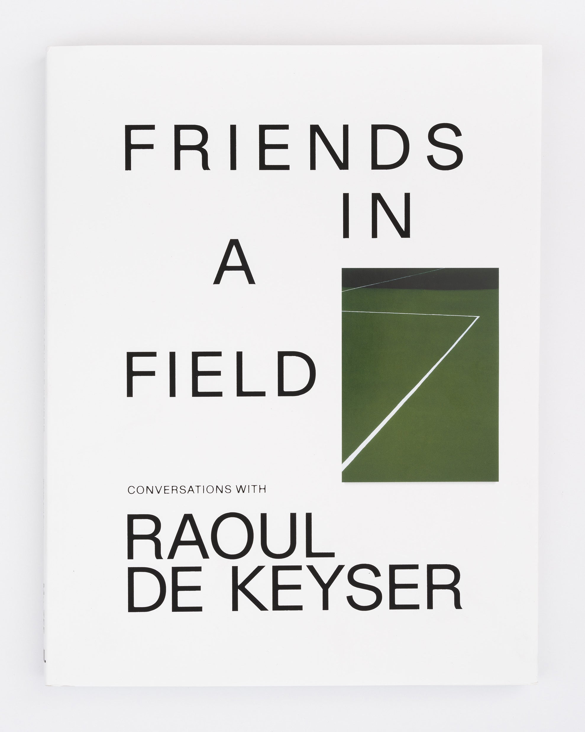 Friends in a Field: Conversations with Raoul De Keyser – David