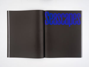 Rashid Johnson: Black and Blue