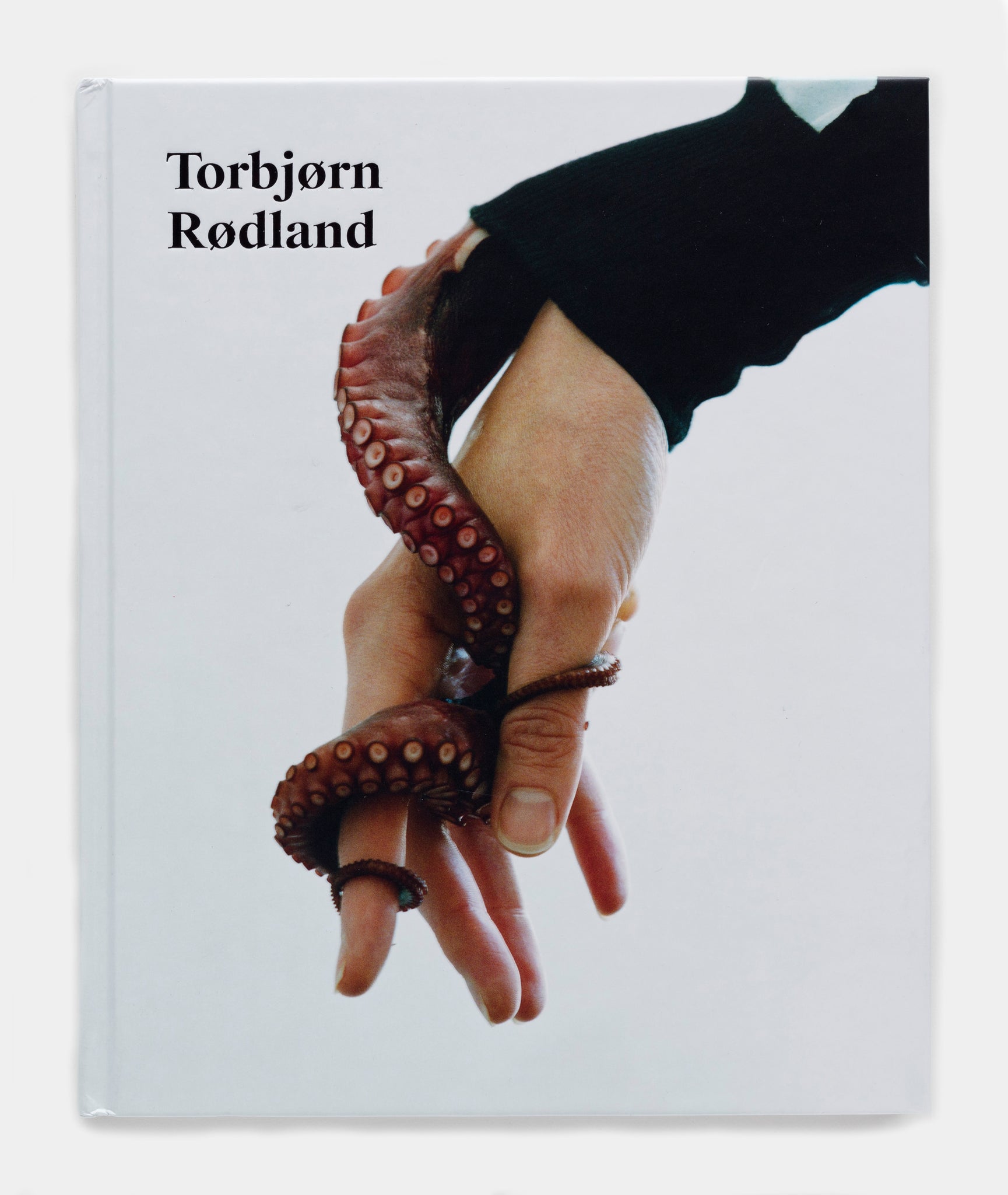 Torbjørn Rødland: Touch That Made You exhibition catalogue – David