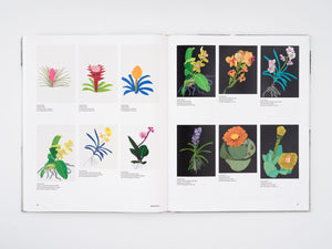 Jonas Wood: Plants and Animals