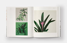 Jonas Wood: Phaidon Contemporary Artist Series - SIGNED